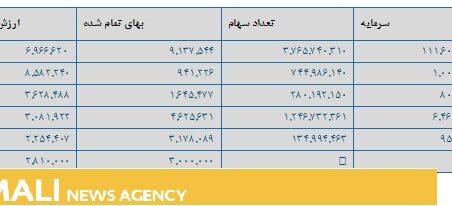 سرمایه گذاری سلیم عرضه اولیه